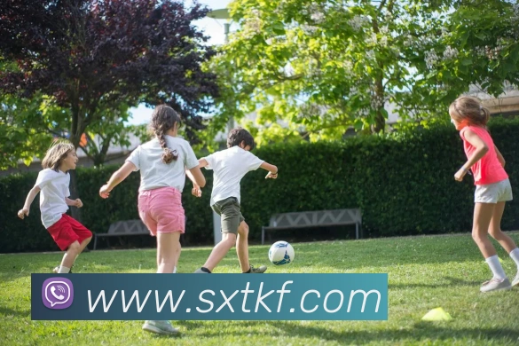 凯发天生赢家一触即发平台生态图