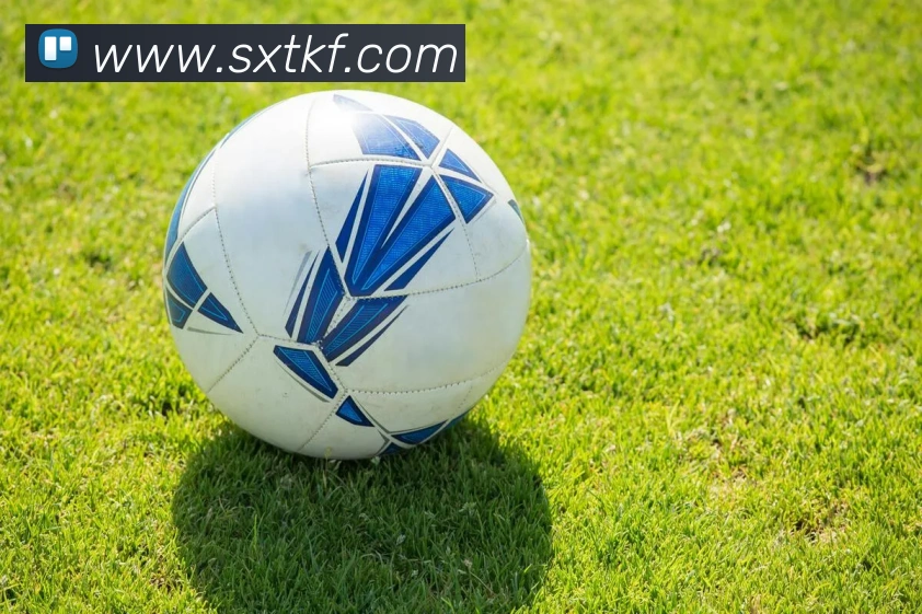 凯发天生赢家一触即发全站App